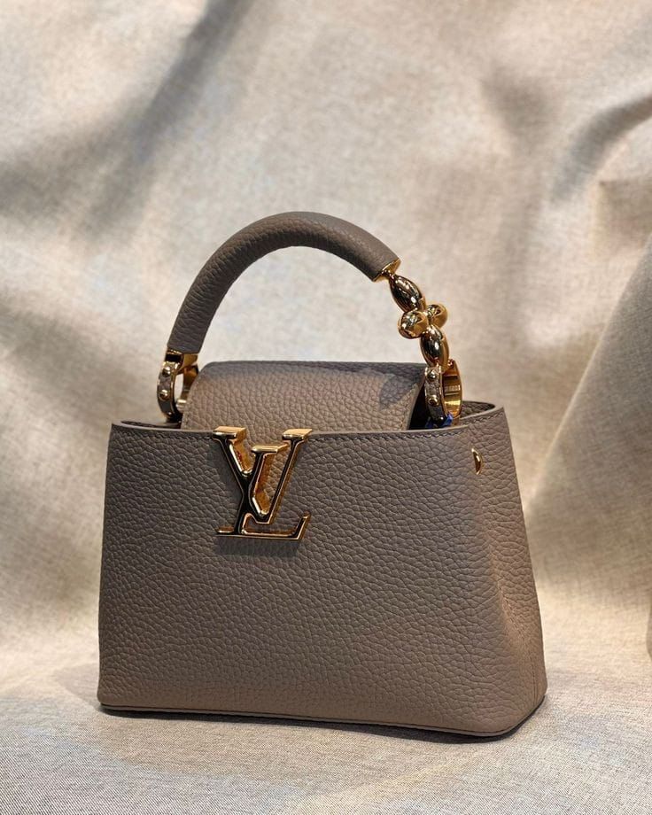 LOUIS VUITTON  Luxe Elegance Mini Tote – Ivory Edition